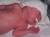 Ca fait quoi ce truc sur ma tete ?